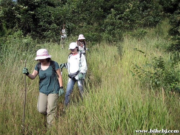 ɽ���ϣ���һ��Ƭ�ݵ�