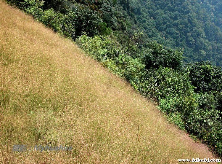 ɽ���ϳ�����������ë��