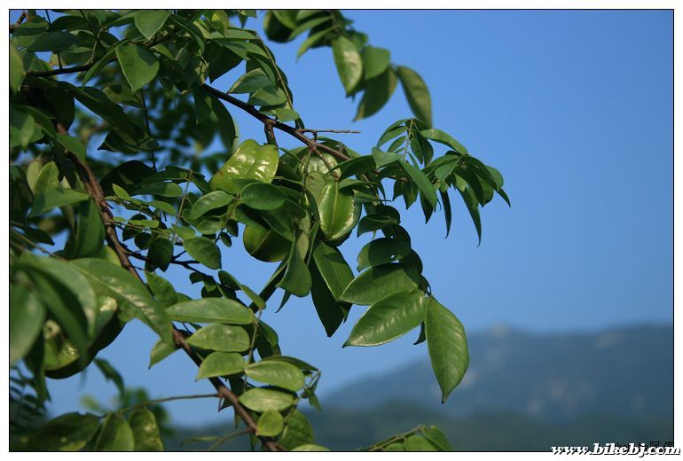 nEO_IMG_��Ƭ 036.jpg