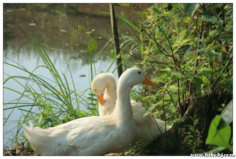 nEO_IMG_��Ƭ 046.jpg