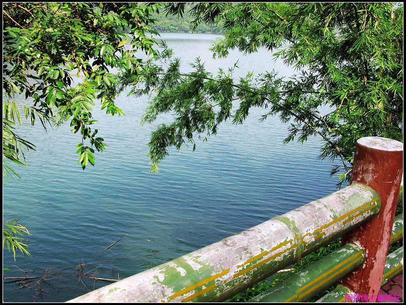 ��ͬ�ĽǶȣ���һ�������һ����̣�����Ư����