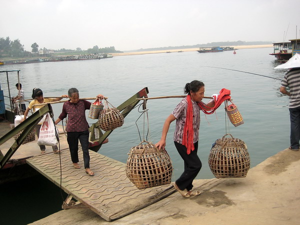 ��������İ���