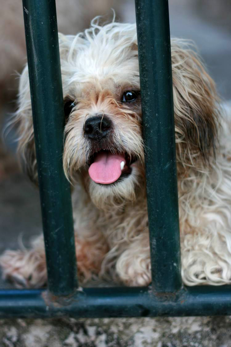 ������С ��Ƭ 074.jpg