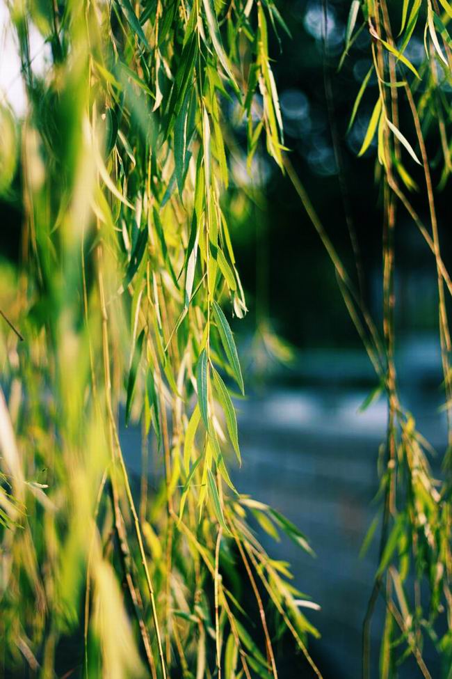 ������С ��Ƭ 053.jpg