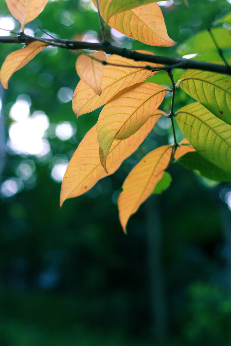 ������С ��Ƭ 061.jpg