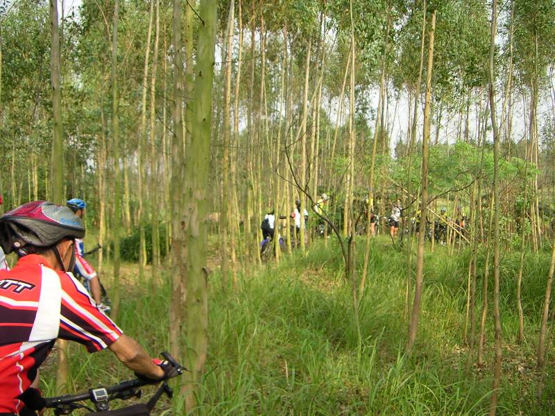 ��ô���£�����ͣ���ˣ�ò���ߴ�·�ˣ����·�����ֵĻ���