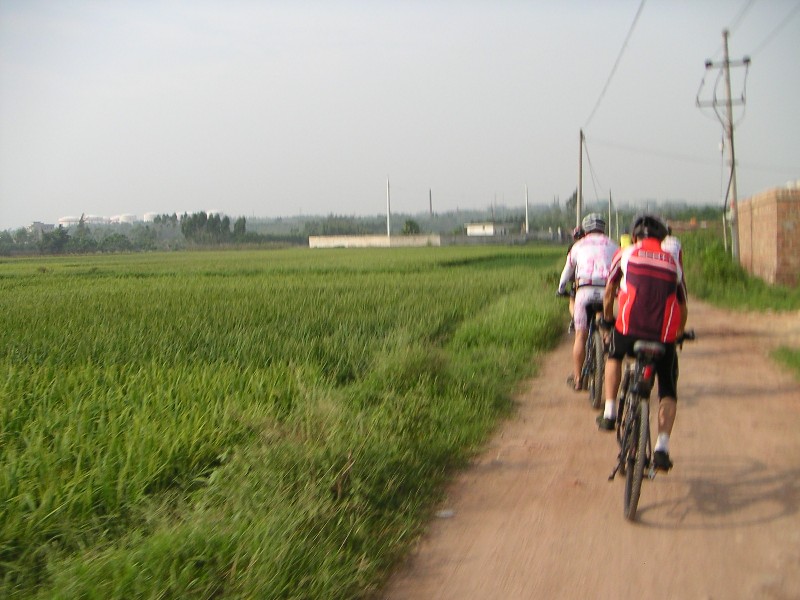 ������ʿΪ62����ϲ�����Ȼǿ��