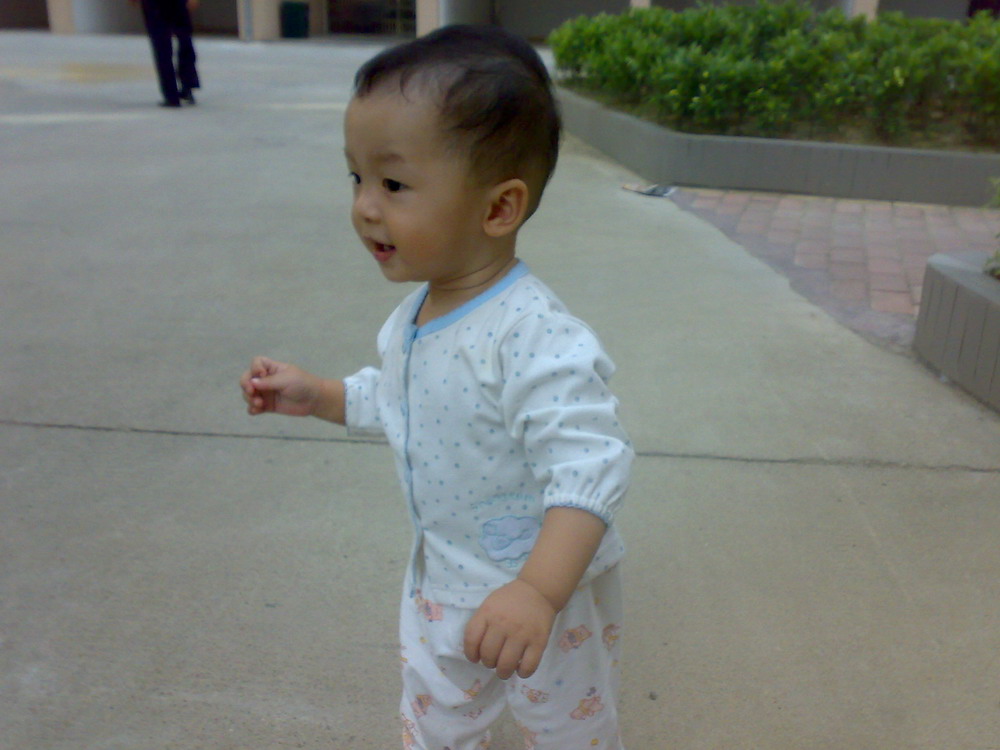 ��֤������