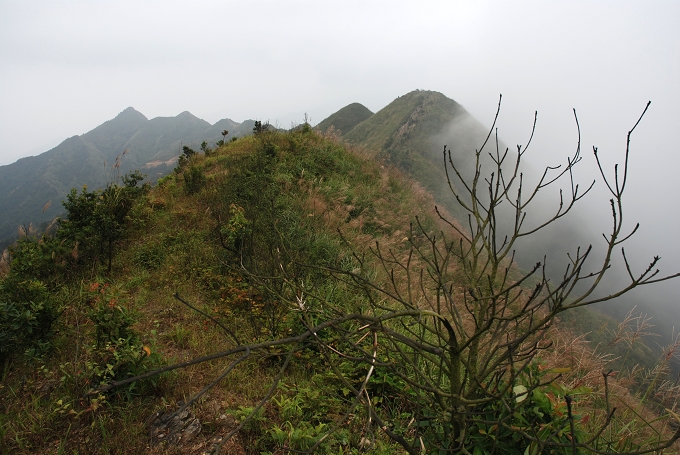 ��ɽ���嵽��