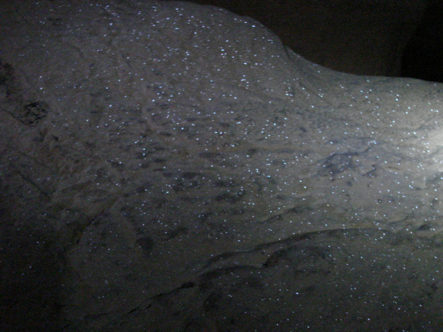 ������˸