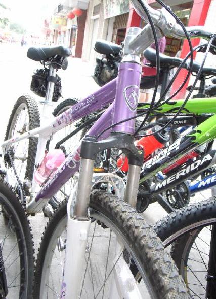 ��Ҷ�ӵĳ���װ��ʲô����?�ܿ�������?