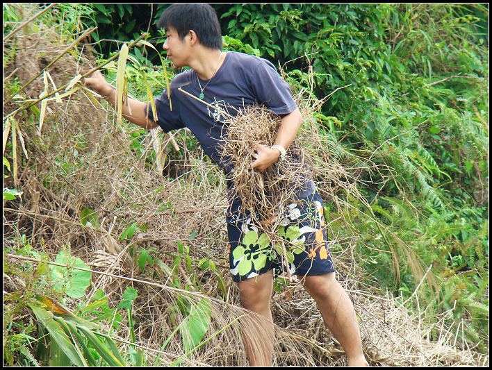 ���͵İ�ϸȥ����