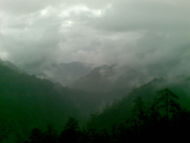 ��һ����ƺ�.