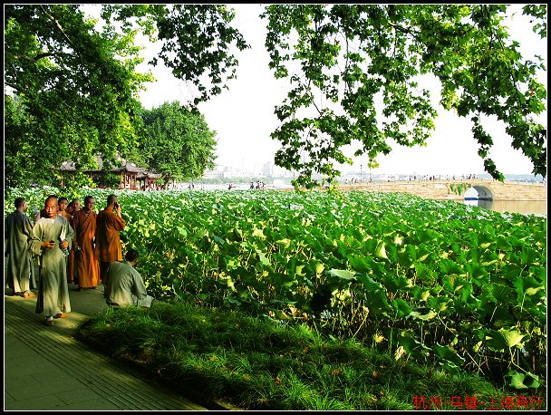 ����ȫ�������ж�Ϊ֮���飿����������