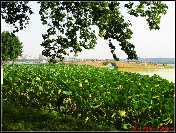 ��������µ���������