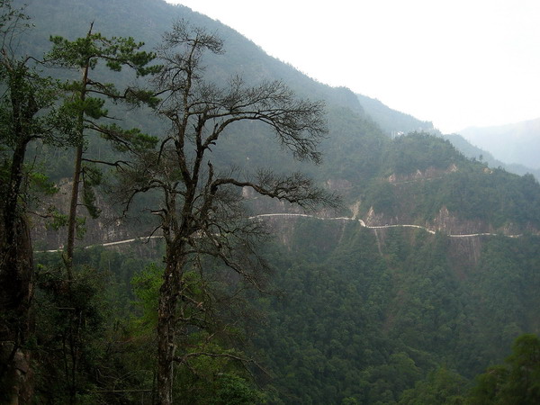 ��������·