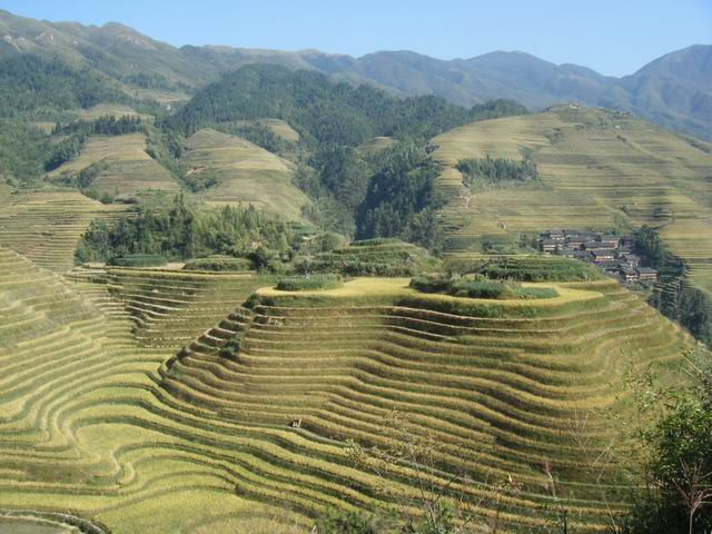 ��ɽ����