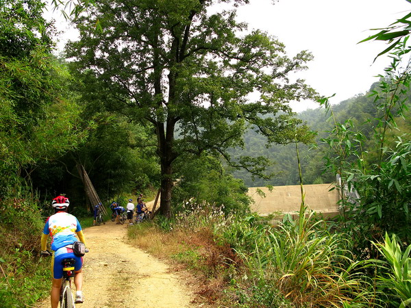 ·����˵�еĴ����