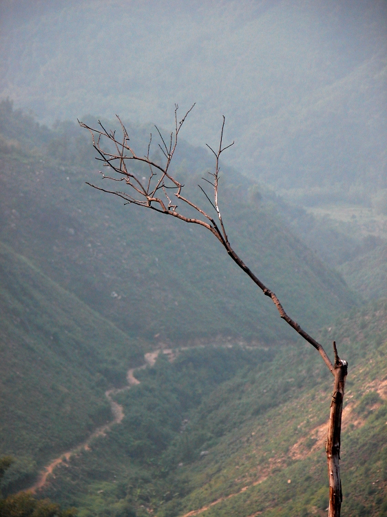 ���չ������ְ�����ɽ,