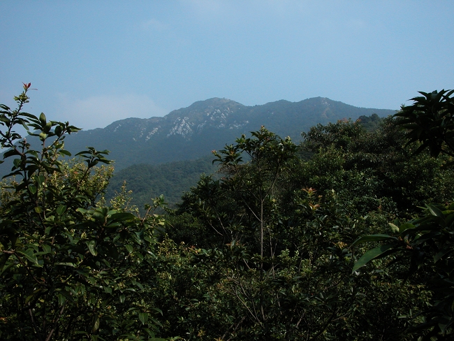 ��ɽ�r����������