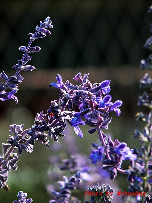 ѡ�������ĵط�������������ʵ�����塣