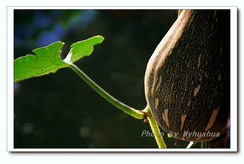 ����ĳ�����Ч����η�����������У�