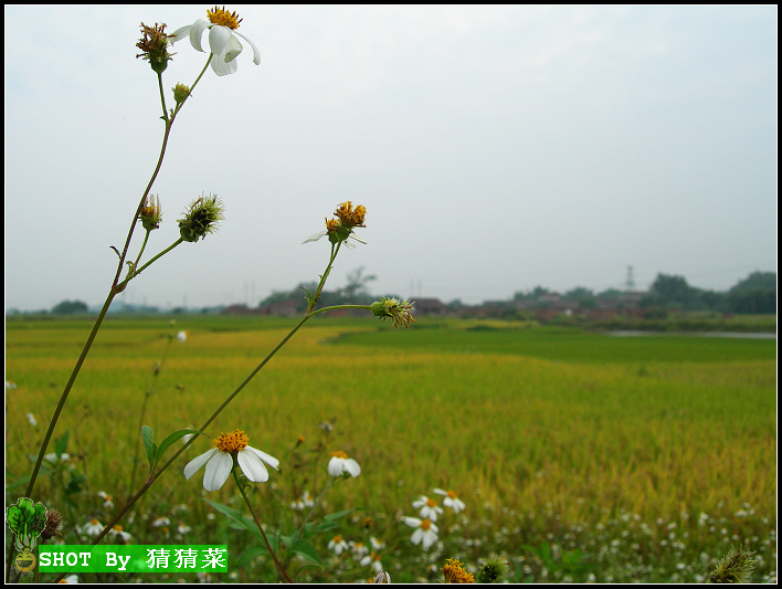 �ڷ���ҡ��