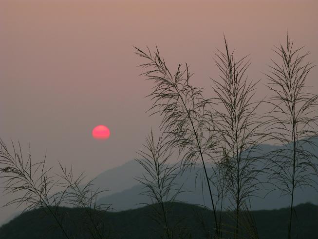 ��Ƭɽ����