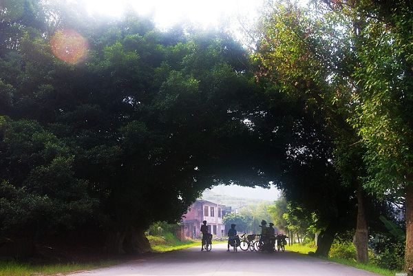 ��������Ϣ�ط�