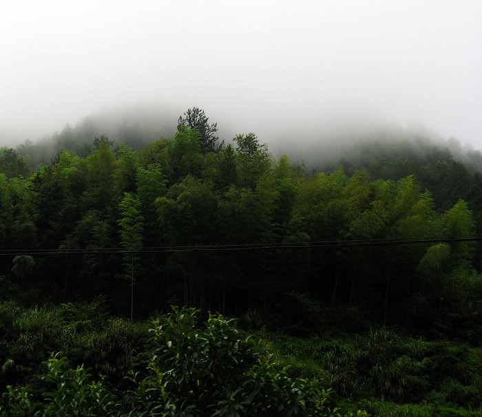 ��;����1