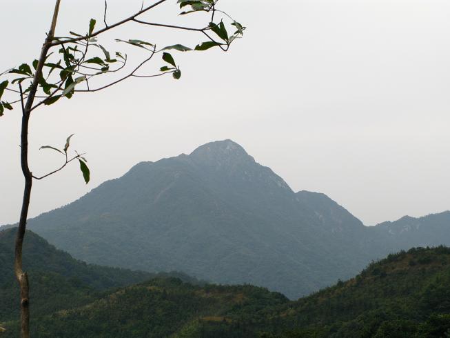 ����ü��ң����¥��