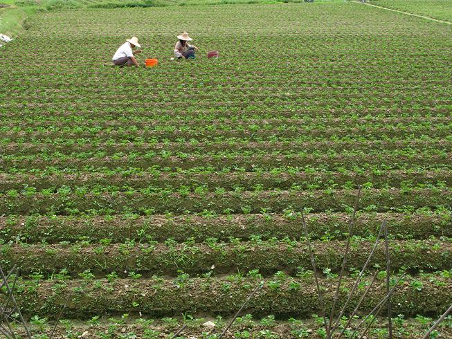 ũ�����ڲ����������ϣ��