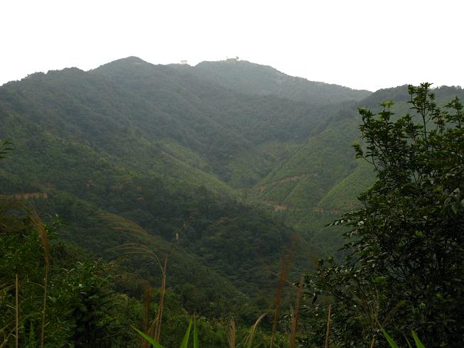 �Ӱ�ɽ��������ü���۷�