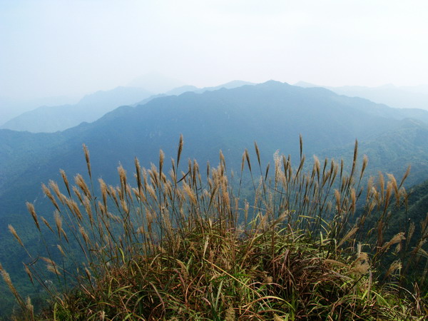 ��ü��Զ��