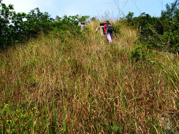 �������������70���¶ȣ��Ƚ�Σ��