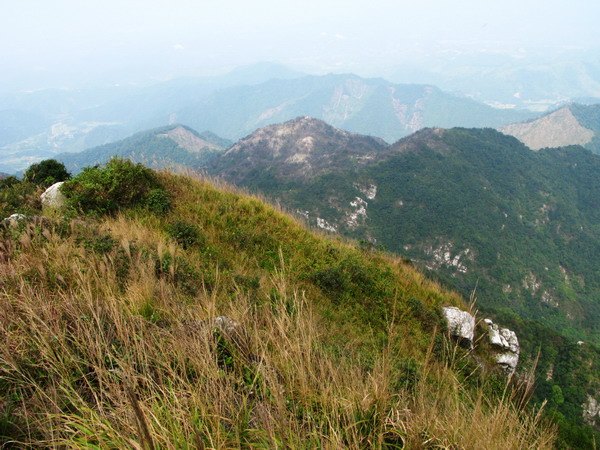 ��Ŀ�������������������Ŀ