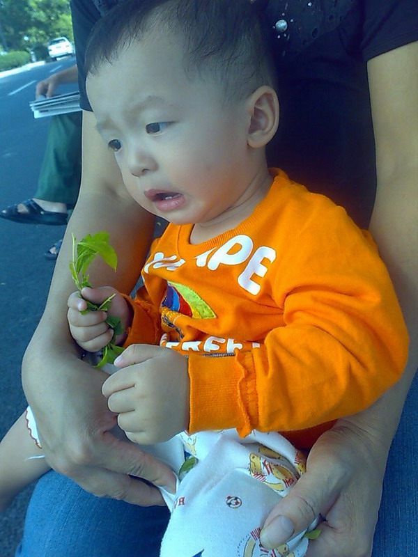 ���ĵ�ʱ�䣬ժһƬ��Ҷ����¼˼��~