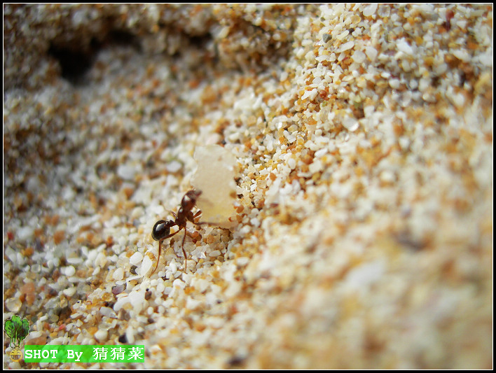 æµ������