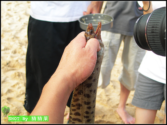 ҧ���˵ĺ������������ݱȽϼ������