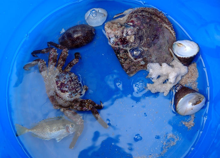 ��ϸ���ջ�