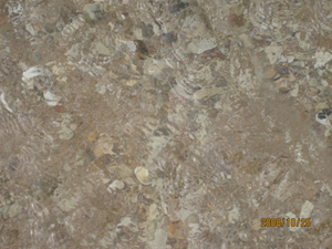 �洦���׵ĺ�ˮ