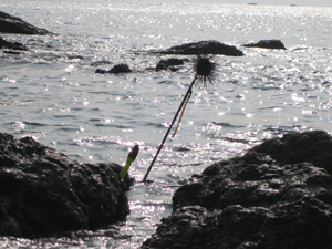 ׽��������03