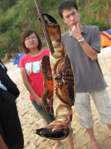 ��������