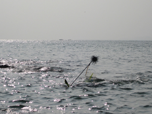 ׽��������01