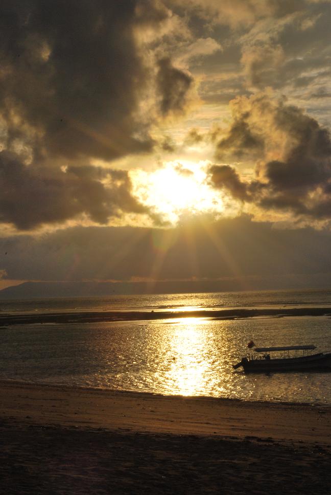 ���嵺�ճ�