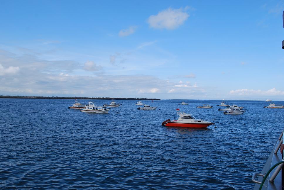 ���嵺����