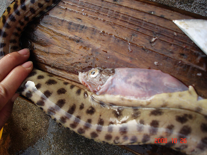 ҧ�������������,��Ȼ����С��,��!