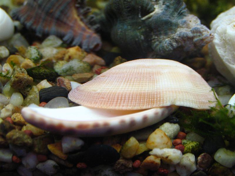 IMG_7005 (��).JPG