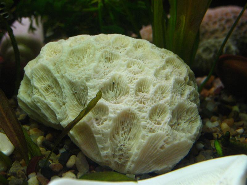 IMG_7004 (��).JPG