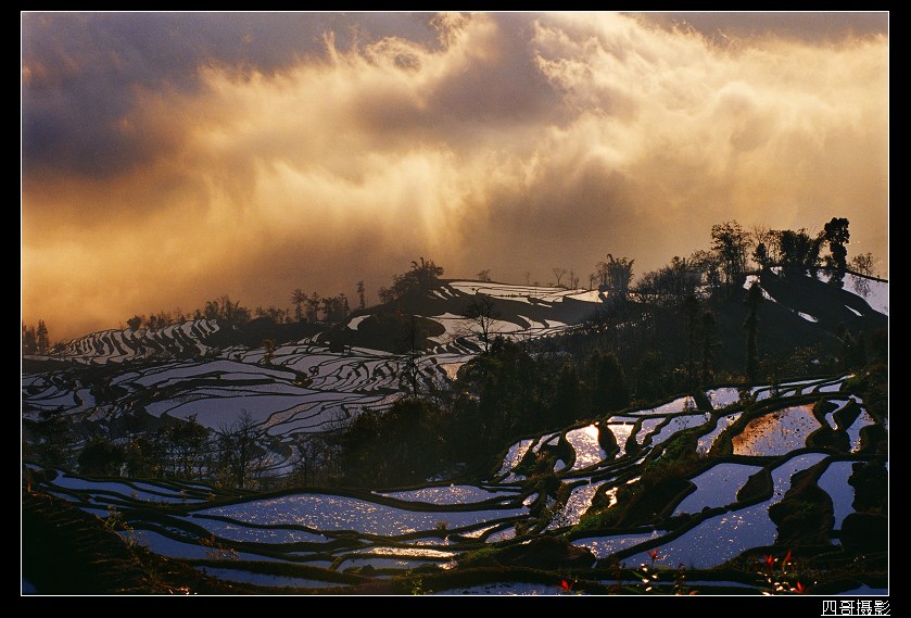 ����Ԫ������